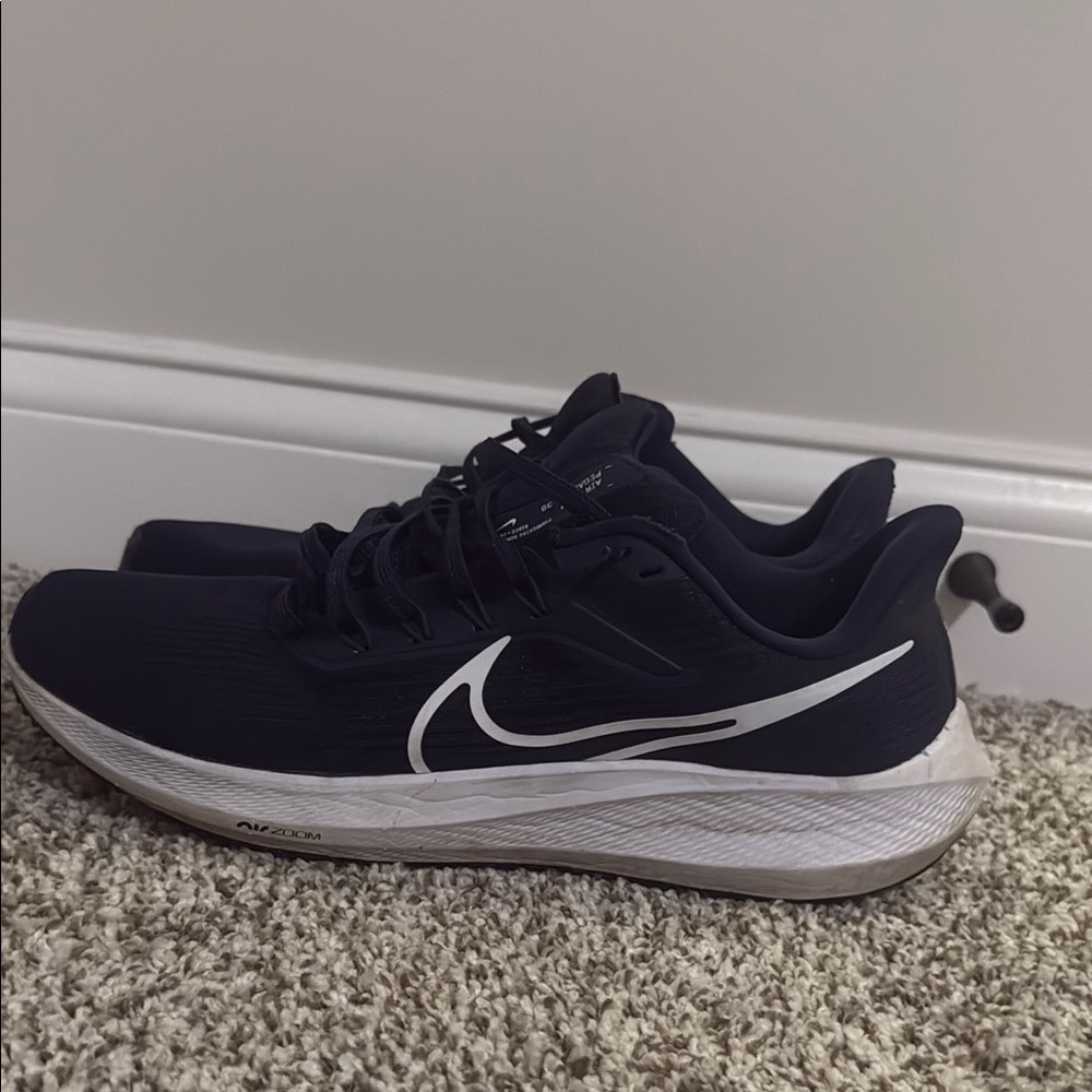 Nike Men's Air Pegasus Running Shoes